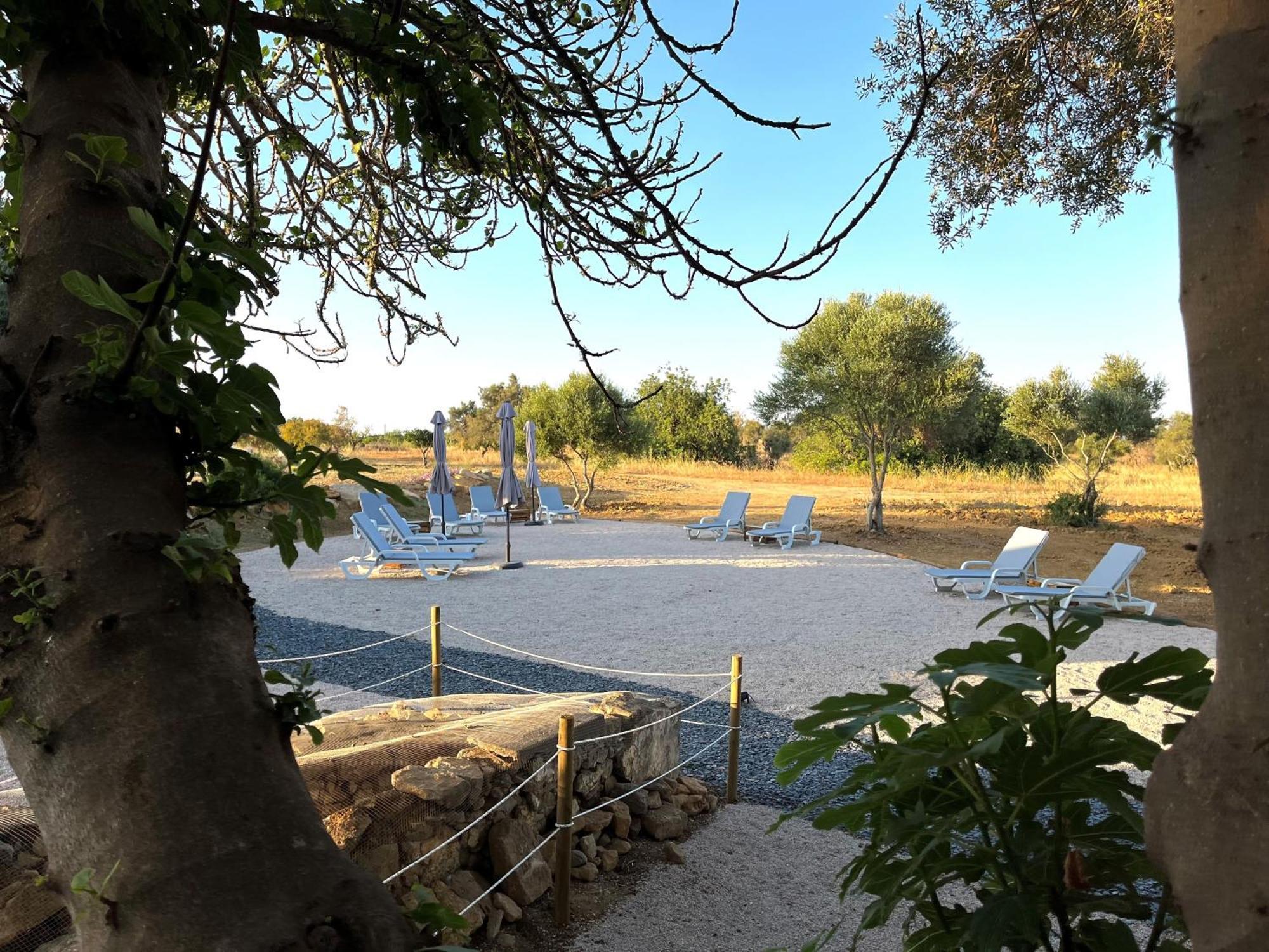 Lobos A Sua Casa No Campo Tavira