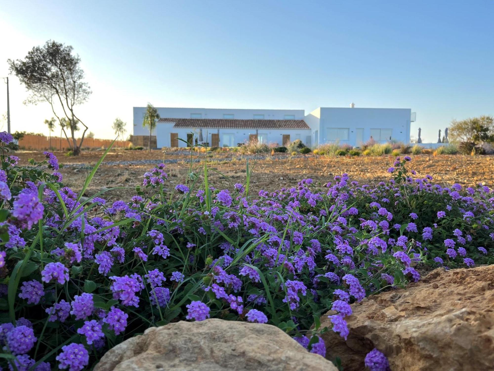 Lobos A Sua Casa No Campo Farm stay *